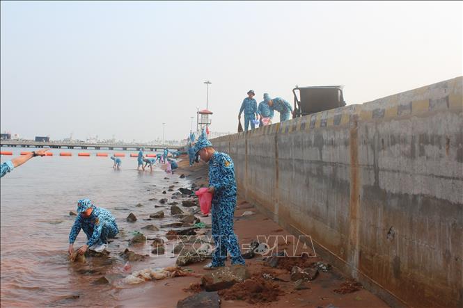 Hiệu quả thiết thực từ mô hình doanh trại Hải quân xanh - sạch - đẹp Chú thích ảnh
