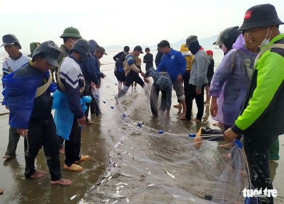 Trúng luồng cá ghé, ngư dân Hà Tĩnh thu hàng chục triệu đồng mỗi ngày Trúng luồng cá ghé, ngư dân Hà Tĩnh thu hàng chục triệu đồng mỗi ngày