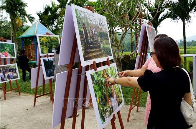 Trên 30.000 lượt du khách đến với Hội làng Lộc Yên, Quảng Nam Chú thích ảnh