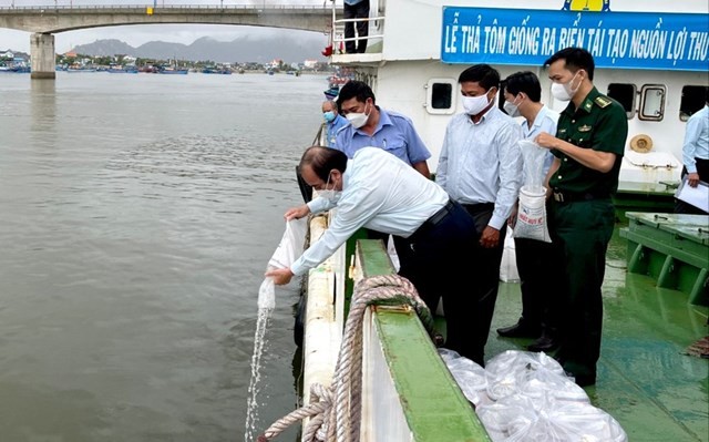 Thả 1 triệu con tôm giống ra biển, tái tạo nguồn lợi thủy sản Thả 1 triệu con tôm giống ra biển, tái tạo nguồn lợi thủy sản