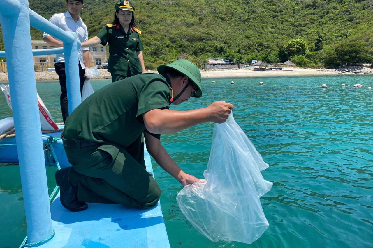 Thả con giống cá ngựa đen để tái tạo nguồn lợi thủy sản tại đảo Hòn Tre (Nha Trang) Thả con giống cá ngựa đen để tái tạo nguồn lợi thủy sản tại đảo Hòn Tre (Nha Trang)