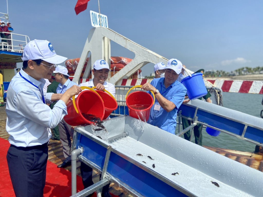 Việt Nam - Trung Quốc thả hơn 8 triệu con giống thủy sản tại khu vực ven biển Vịnh Bắc bộ Việt Nam - Trung Quốc thả hơn 8 triệu con giống thủy sản tại khu vực ven biển Vịnh Bắc bộ