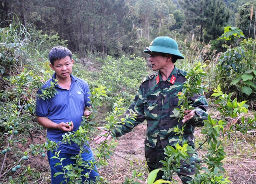 Phủ xanh đất trống, giúp người dân thoát nghèo, giữ vững biên cương Phủ xanh đất trống, giúp người dân thoát nghèo, giữ vững biên cương