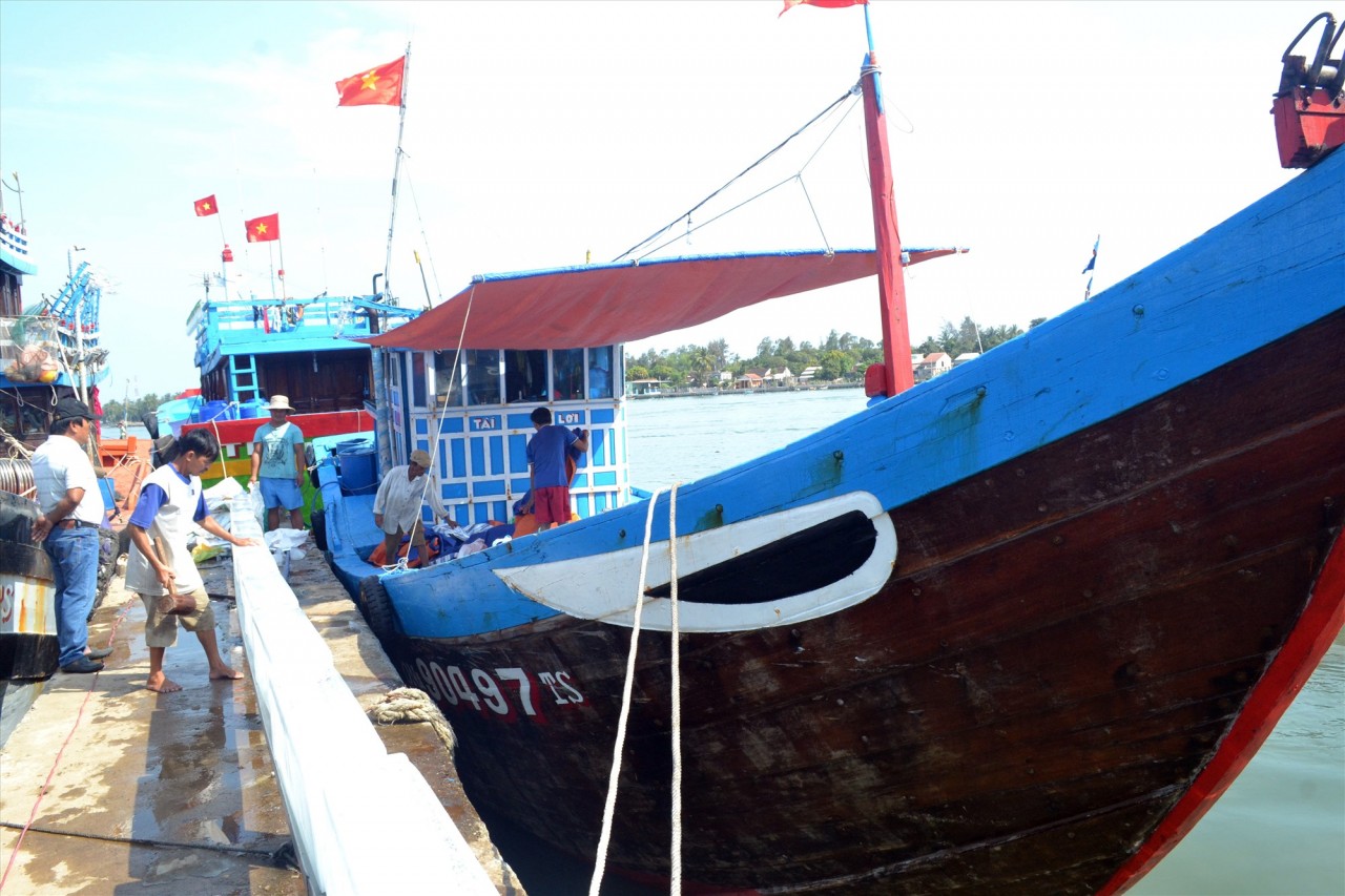 Ngư dân kiên cường bám biển, đoàn kết vươn khơi