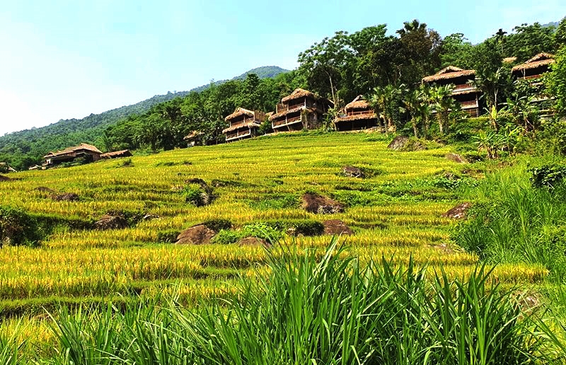 Những ngôi nhà sàn của đồng bào Mường thấp thoáng bên sườn núi Pù Luông.