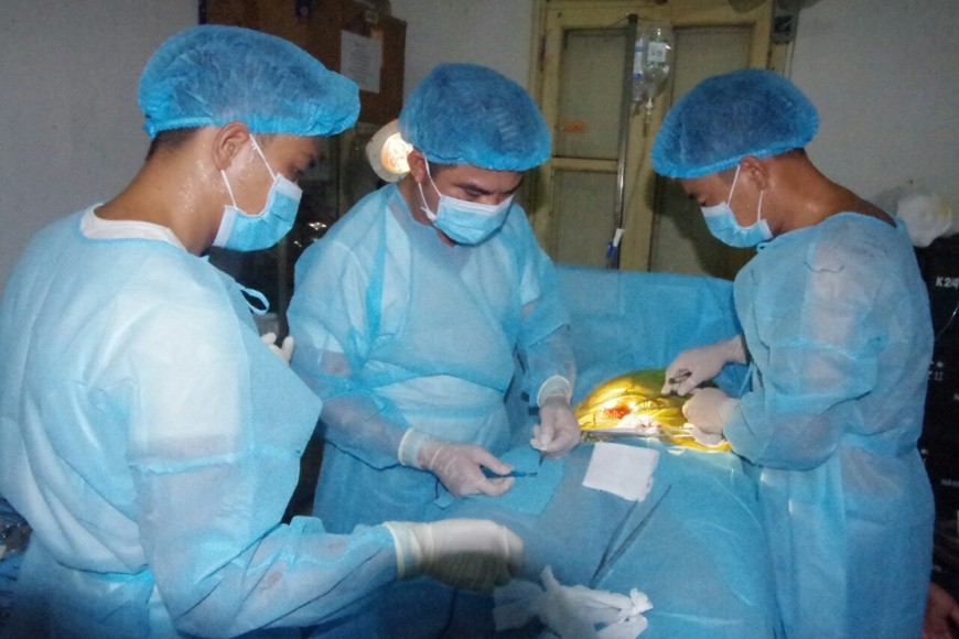 Tình hình sức khoẻ mới nhất của ngư dân bị cá mập cắn ở vùng biển đảo Bạch Long Vỹ Tình hình sức khoẻ mới nhất của ngư dân bị cá mập cắn ở vùng biển đảo Bạch Long Vỹ
