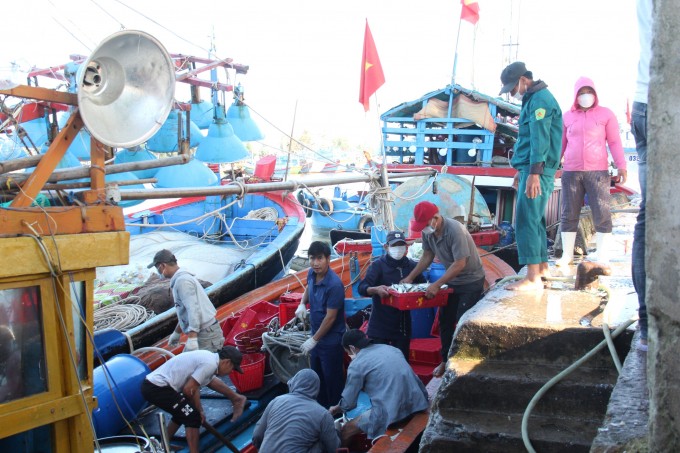 Phát huy vai trò của ngư dân trong việc bảo vệ nguồn lợi thủy sản và khắc phục IUU Phát huy vai trò của ngư dân trong việc bảo vệ nguồn lợi thủy sản và khắc phục IUU