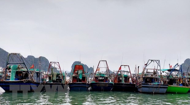 Quảng Ninh tháo gỡ khó khăn cho ngư dân trước giá xăng dầu tăng Quảng Ninh tháo gỡ khó khăn cho ngư dân trước giá xăng dầu tăng