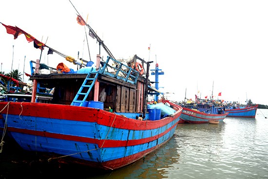 Quảng Nam, Bến Tre kiểm soát IUU vì một nghề cá bền vững Quảng Nam, Bến Tre kiểm soát IUU vì một nghề cá bền vững