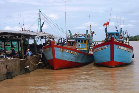 Quảng Nam, Bến Tre kiểm soát IUU vì một nghề cá bền vững Quảng Nam, Bến Tre kiểm soát IUU vì một nghề cá bền vững