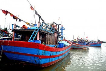Quảng Nam, Bến Tre kiểm soát IUU vì một nghề cá bền vững