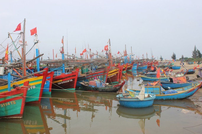 55% tàu cá dừng hoạt động, đề xuất Chính phủ hỗ trợ ngư dân 55% tàu cá dừng hoạt động, đề xuất Chính phủ hỗ trợ ngư dân