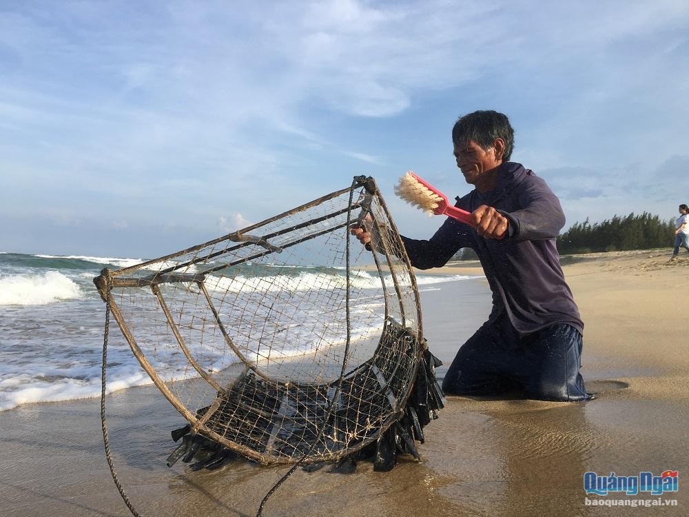 Nghề bẫy mực lá 4830 1