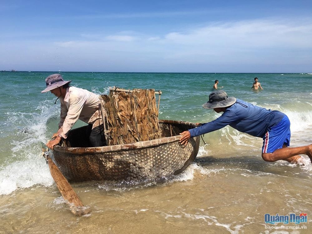 Nghề bẫy mực lá 4904 2