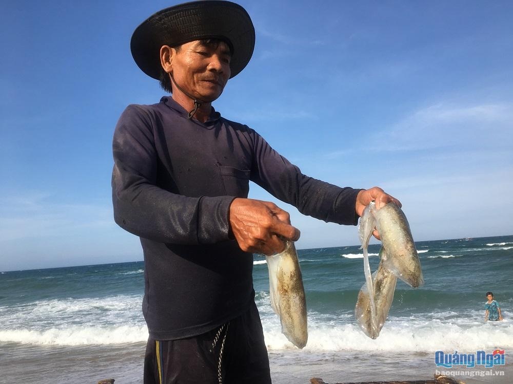 Nghề bẫy mực lá 4934 3