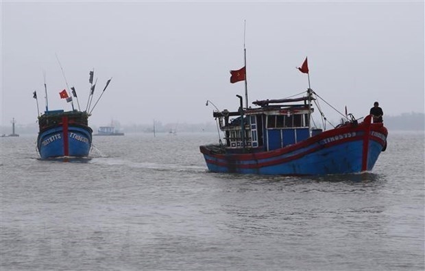 Học giả Ấn Độ đưa ra giải pháp kiềm chế Trung Quốc tại Biển Đông Châu Á TBD Vietnam VietnamPlus 4229 tau ca viet nam