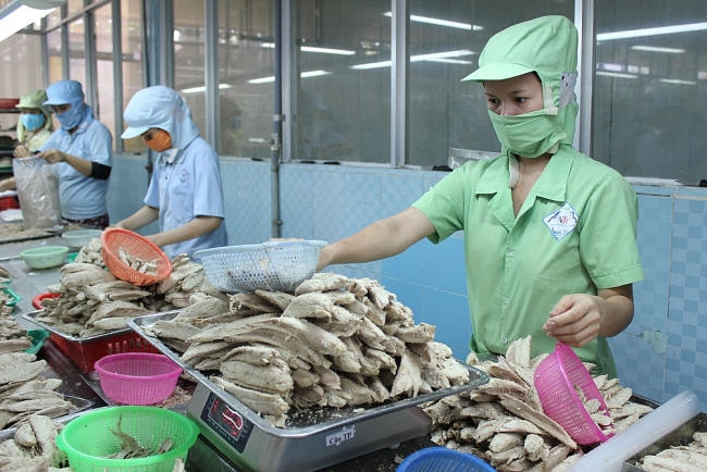 Sức sống mới ở vùng đất trù phú Sông Cầu Sức sống mới ở phổ biển Sông Cầu