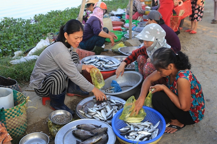 Trù phú đầm phá Tam Giang - Cầu Hai Trù phú đầm phá Tam Giang - Cầu Hai
