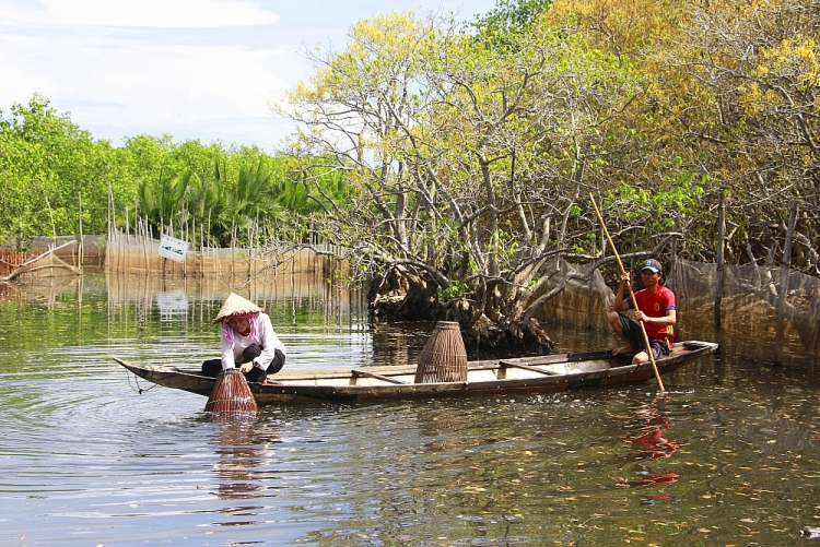 Trù phú đầm phá Tam Giang - Cầu Hai Trù phú đầm phá Tam Giang - Cầu Hai