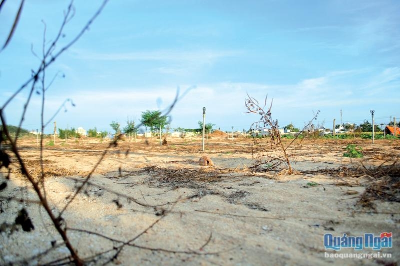 Tình hình khô hạn khốc liệt đã ảnh hưởng đến sản xuất nông nghiệp ở huyện Lý Sơn. Tình hình khô hạn khốc liệt đã ảnh hưởng đến sản xuất nông nghiệp ở huyện Lý Sơn.