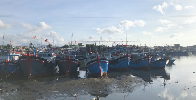 Ninh Thuận đang quyết liệt triển khai các giải pháp nhằm góp phần gỡ thẻ vàng của EC. Ảnh: MH. Ninh Thuận đang quyết liệt triển khai các giải pháp nhằm góp phần gỡ thẻ vàng của EC. Ảnh: MH.