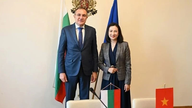 Việt Nam-Bulgaria đẩy mạnh hợp tác trong lĩnh vực y tế và đào tạo nguồn nhân lực Việt Nam-Bulgaria đẩy mạnh hợp tác trong lĩnh vực y tế và đào tạo nguồn nhân lực