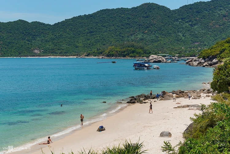 Cù Lao Chàm mùa hoa ngô đồng Cù Lao Chàm mùa hoa ngô đồng