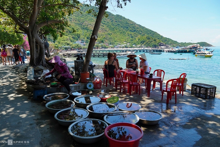 Cù Lao Chàm mùa hoa ngô đồng Cù Lao Chàm mùa hoa ngô đồng