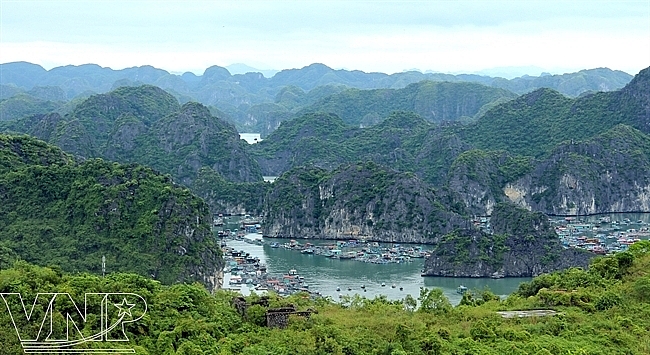 Khám phá làng chài cổ nhất Việt Nam Khám phá làng chài cổ nhất Việt Nam
