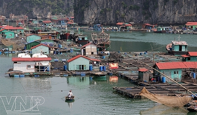 Khám phá làng chài cổ nhất Việt Nam Khám phá làng chài cổ nhất Việt Nam