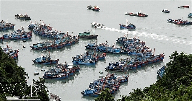 Khám phá làng chài cổ nhất Việt Nam Khám phá làng chài cổ nhất Việt Nam