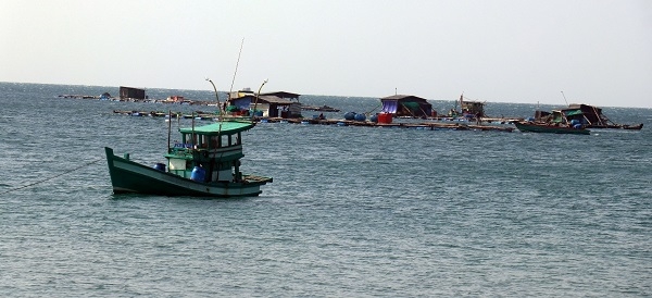 Nuôi cá lồng bè trên vùng biển An Thới, thành phố Phú Quốc (Kiên Giang). Nuôi cá lồng bè trên vùng biển An Thới, thành phố Phú Quốc (Kiên Giang).