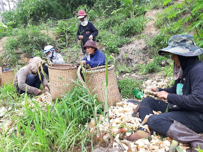 Lâm Đồng tích cực giải cứu, tiếp nhận và hỗ trợ nạn nhân bị mua bán trở về Lâm Đồng tích cực giải cứu, tiếp nhận và hỗ trợ nạn nhân bị mua bán trở về