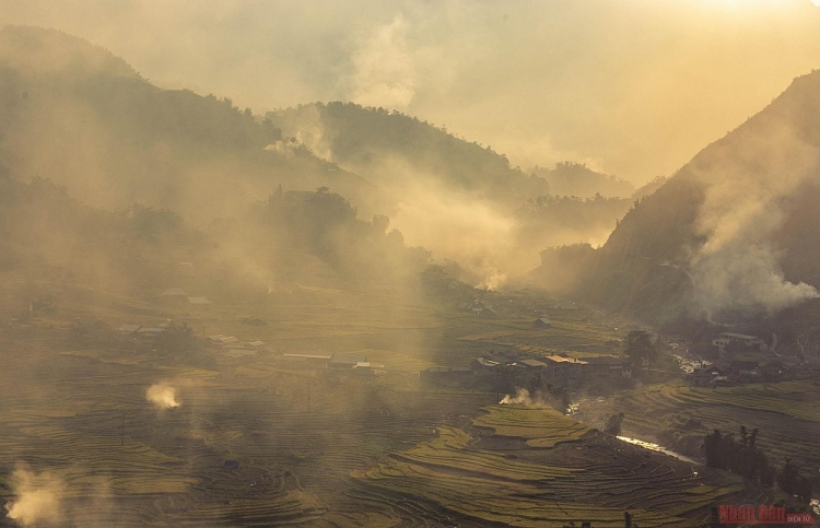 Thơ mộng mùa lúa chín ở thung lũng Mường Hoa