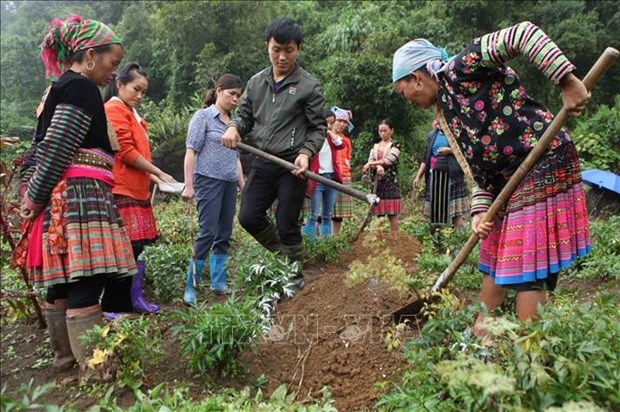 Hiệu quả việc đào tạo nghề cho lao động nông thôn ở huyện vùng cao Sìn Hồ hình ảnh 1 Hieu qua viec dao tao nghe cho lao dong nong thon o huyen vung cao Sin Ho hinh anh 1