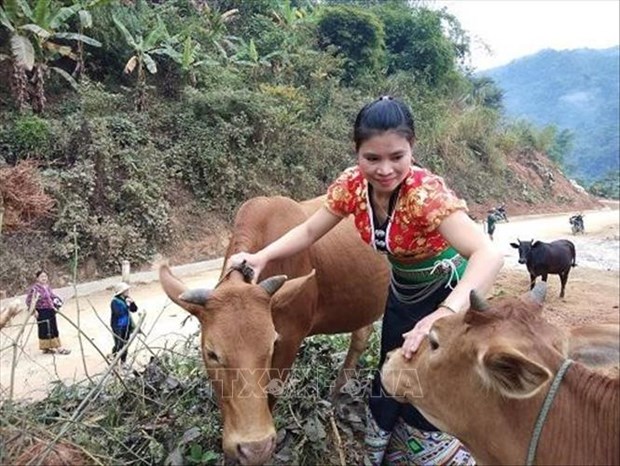 Giup phu nu xa bien gioi Muong Chanh nang cao thu nhap, on dinh cuoc song hinh anh 2