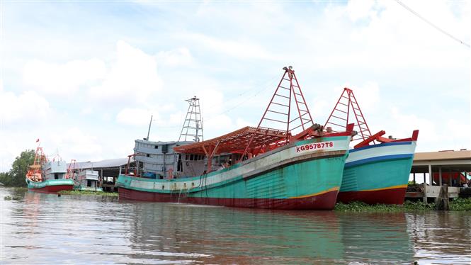 Chương trình quốc gia phát triển khai thác thủy sản hiệu quả, bền vững Chú thích ảnh