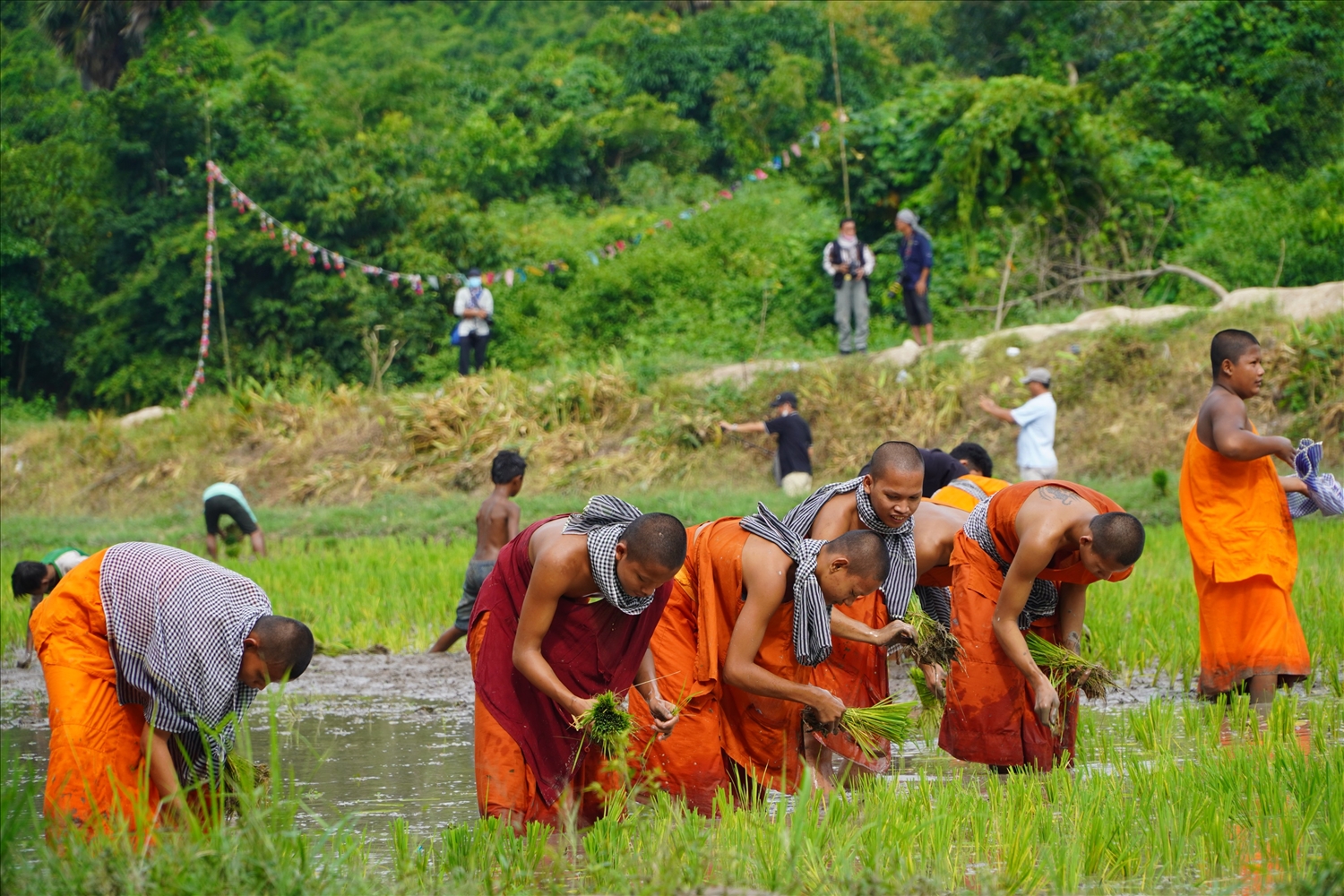 Các vị sư sãi cùng đồng bào tham gia Hội cấy lúa Các vị sư sãi cùng đồng bào tham gia Hội cấy lúa