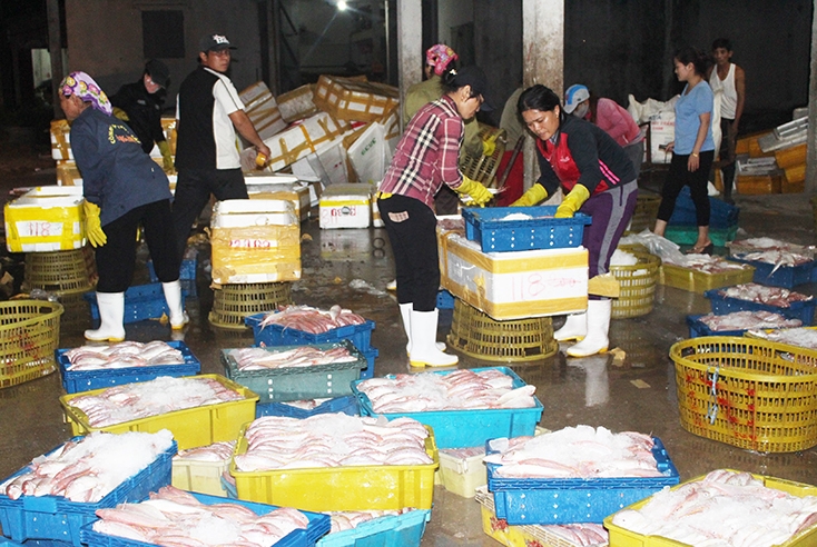 Chống khai thác IUU Vẫn còn nhiều thách thức 3315 2