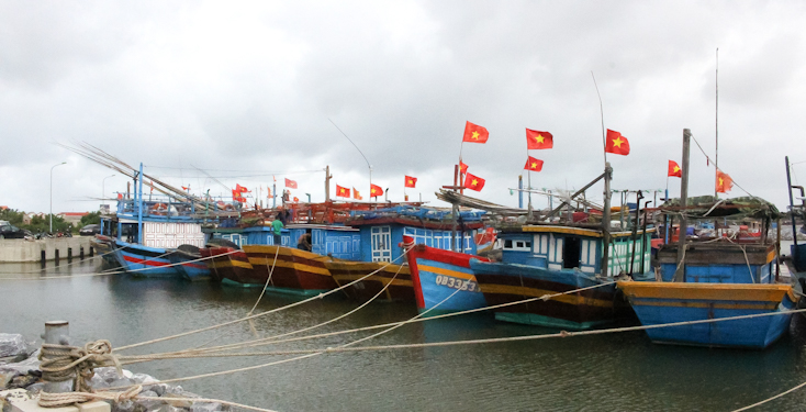 Chống khai thác IUU Vẫn còn nhiều thách thức Chống khai thác IUU: Vẫn còn nhiều thách thức
