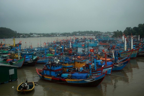 Có 3 tàu cá của tỉnh Quảng Ngãi gặp nạn, trôi dạt trên biển. Hiện tàu đang thả trôi tự do, vị trí tàu cách bờ khoảng 8 hải lý, hướng biển xã Bình Hải, huyện Bình Sơn. Có 3 tàu cá của tỉnh Quảng Ngãi gặp nạn, trôi dạt trên biển. Hiện tàu đang thả trôi tự do, vị trí tàu cách bờ khoảng 8 hải lý, hướng biển xã Bình Hải, huyện Bình Sơn.