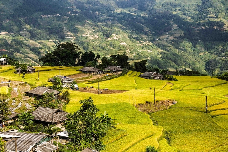 Nao lòng sắc thu vàng ở Hà Giang Mùa vàng ở Hà Giang vẫn đẹp trong thời điểm cuối tháng 10