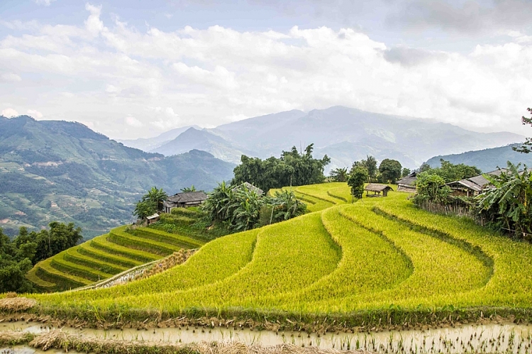 Nao lòng sắc thu vàng ở Hà Giang Mùa vàng ở Hà Giang vẫn đẹp trong thời điểm cuối tháng 10