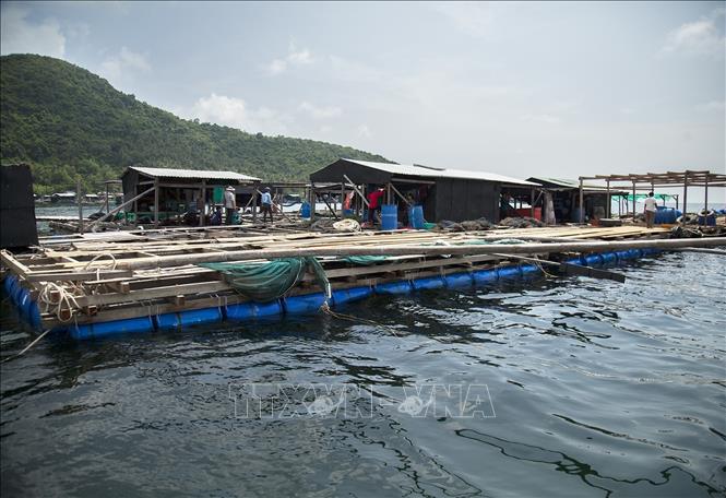 Phát triển đồng bộ hệ thống cơ sở hạ tầng phục vụ nuôi biển Chú thích ảnh