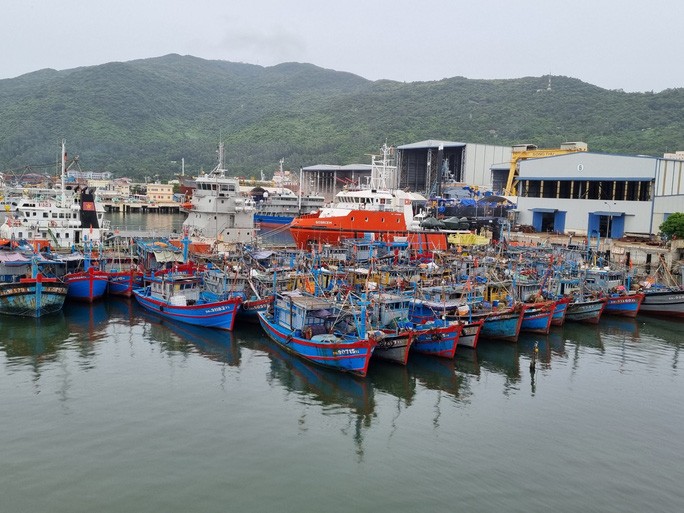 Đà Nẵng nghiêm cấm tàu thuyền ra khơi để tránh ảnh hưởng của áp thấp nhiệt đới Đà Nẵng nghiêm cấm tàu thuyền ra khơi để tránh ảnh hưởng của áp thấp nhiệt đới
