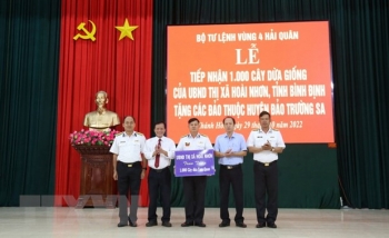 Huyện đảo Trường Sa tiếp nhận 1.000 cây dừa giống