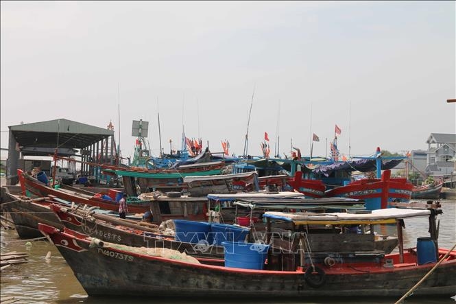 Tàu thuyền neo đậu tại Cảng cá Định An. Tàu thuyền neo đậu tại Cảng cá Định An.