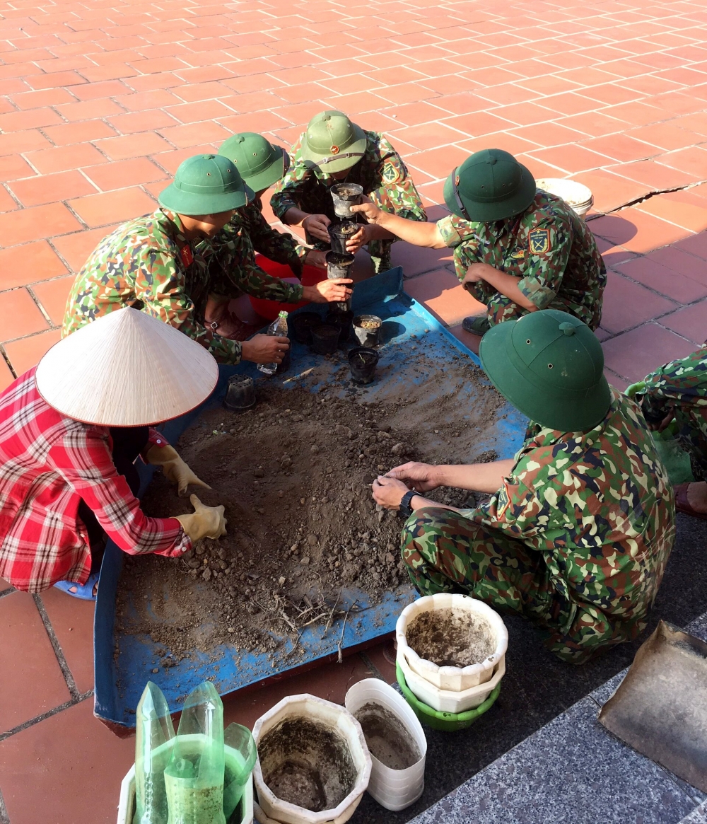 Chuyện về cô giáo 2 lần viết đơn tình nguyện ra đảo Cô Tô