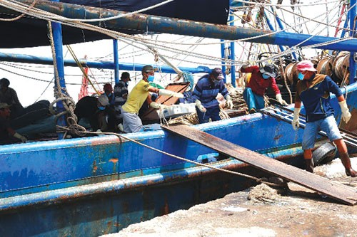 Bình Thuận hỗ trợ chi phí nhiên liệu cho tàu cá hoạt động trên các vùng biển xa Bình Thuận hỗ trợ chi phí nhiên liệu cho tàu cá hoạt động trên các vùng biển xa