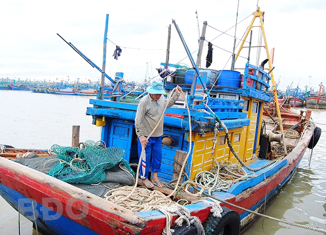 Bình Định: Tăng cường kiểm soát tàu giã cào trong nỗ lực khắc phục thẻ vàng IUU Bình Định: Tăng cường kiểm soát tàu giã cào trong nỗ lực khắc phục thẻ vàng IUU